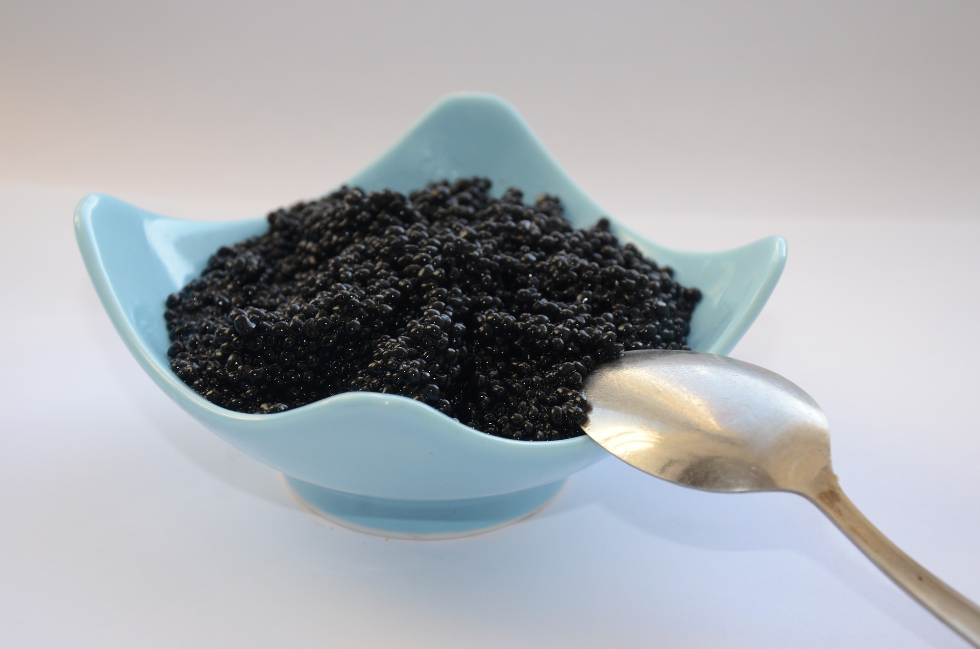 black-caviar-2315832_1920